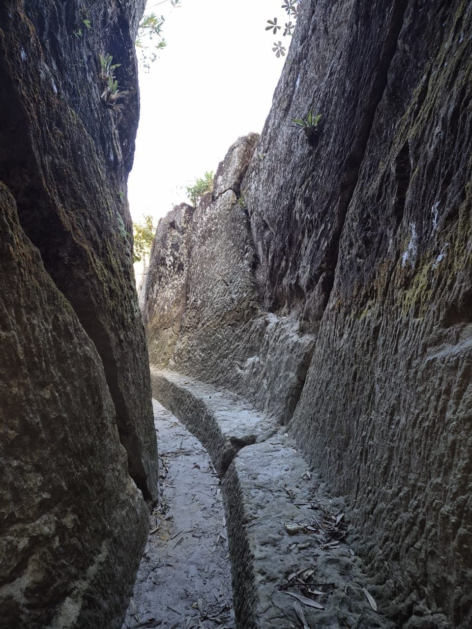 Una aventura inesperada en São João del-Rei — foto 6